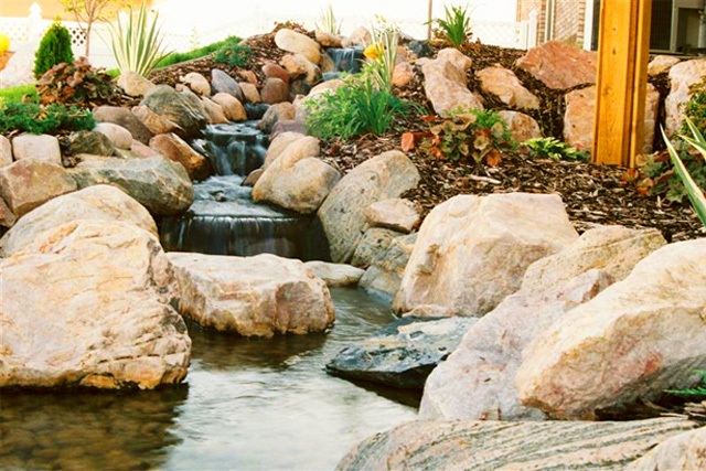 Water Feature